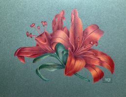 Tiger Lilies EPacket Robyn Brooks CDA
